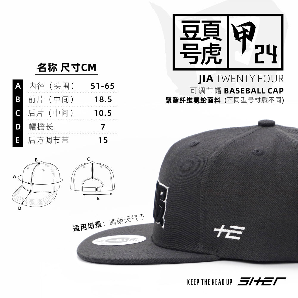 不服 甲24 JIA TWENTY FOUR